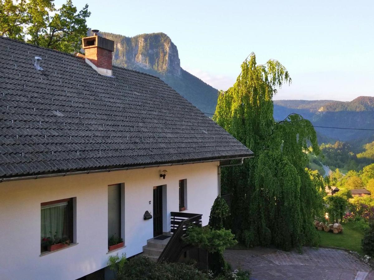 Spacious Apartment Bled Esterno foto