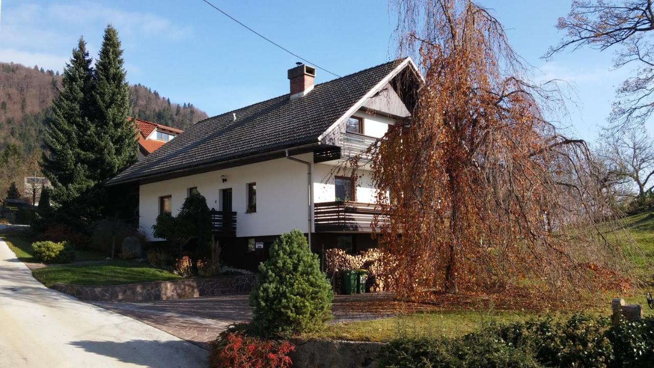 Spacious Apartment Bled Esterno foto