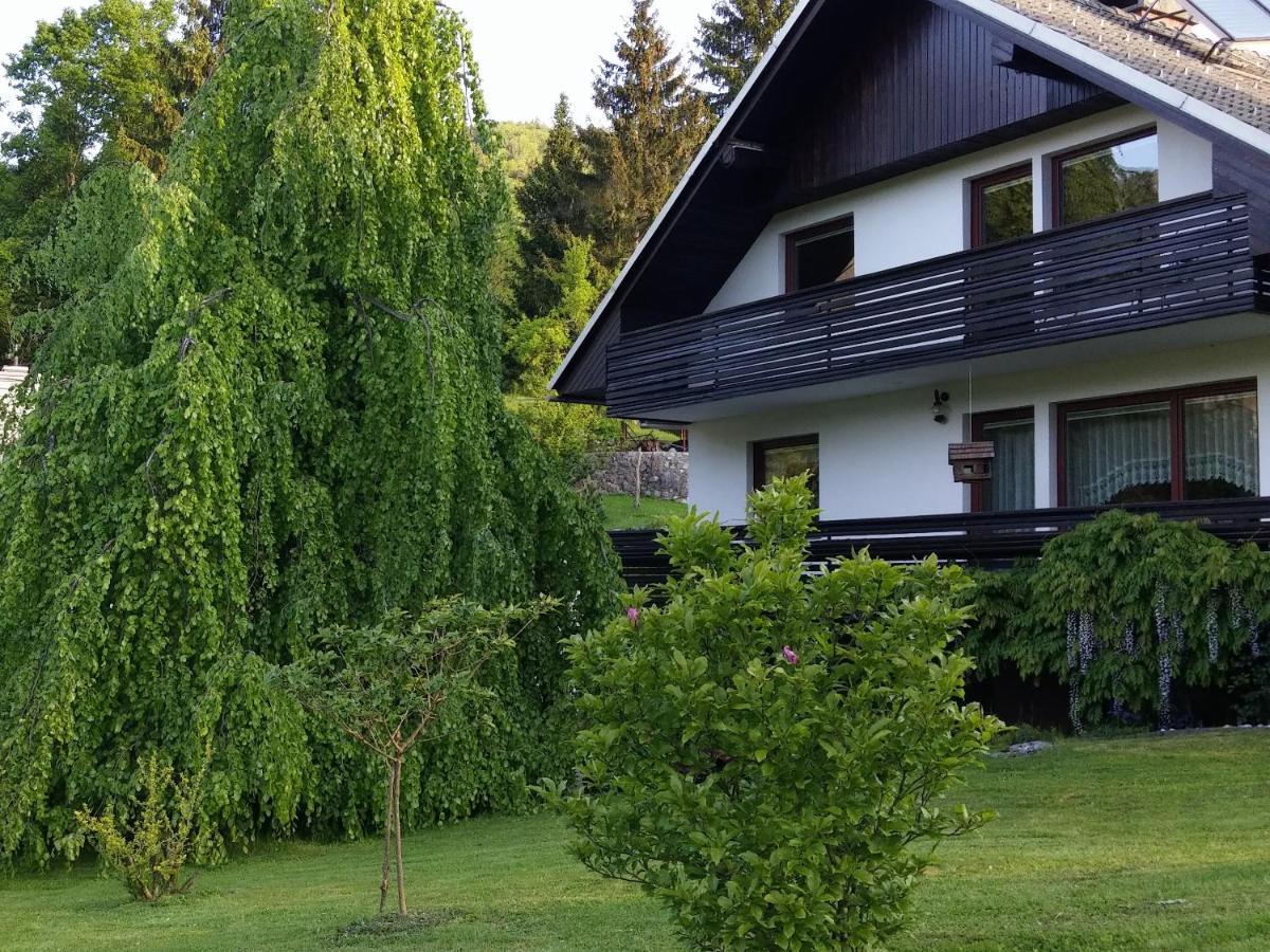 Spacious Apartment Bled Esterno foto